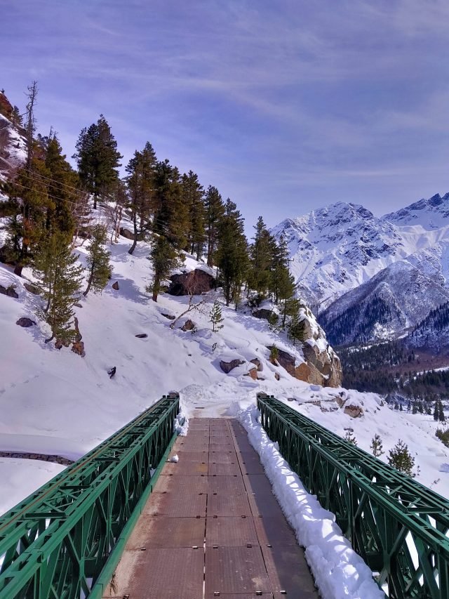 cropped-photo-1597754865557-96ea6b53c9db-scaled-1.jpeg