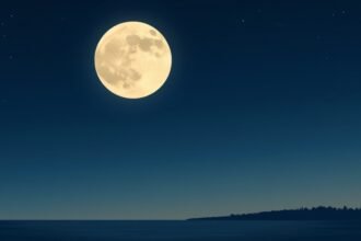 A serene illustration of a full moon in the night sky, with a few stars and a subtle lunar eclipse effect, set against a backdrop of a calm ocean and a silhouette of a tree-lined horizon.