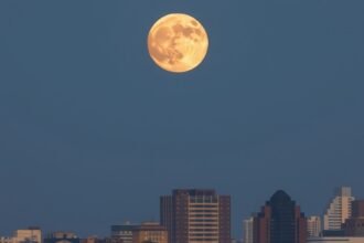 A high-resolution image of the full wolf supermoon rising over a cityscape with a clear sky, showcasing the moon's majestic size and brightness.
