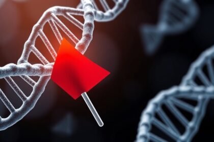An illustration of a DNA double helix with a red flag or warning sign highlighting a specific section, symbolizing the potential link between "junk" DNA and Alzheimer's disease.