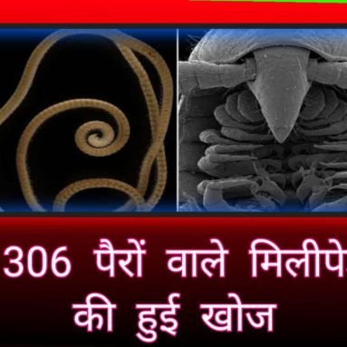 1306 पैरों वाले मिलीपेड़ की हुई खोज